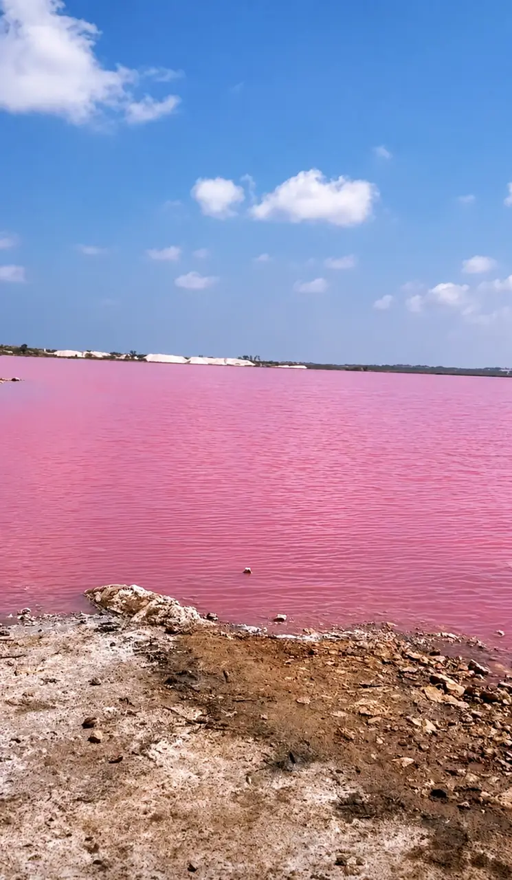 Ružové jazero Laguna Salada v Torrevieji na Costa Blanca s výraznou ružovou soľnou vodou